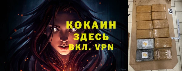 соль ск Алзамай