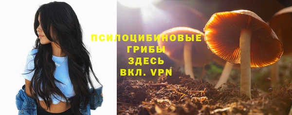 соль ск Алзамай
