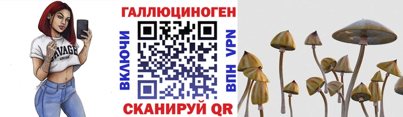 Галлюциногенные грибы Cubensis  блэк спрут ссылки  Стародуб  где можно купить  